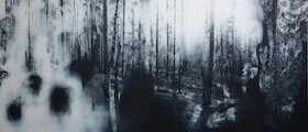 Yuichiro Sato, Into the forest, 2020