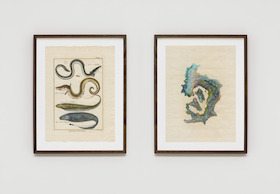 Anri Sala, Untitled (L’Anguille, le Congre, le Carape, le Passan/Italy), 2022