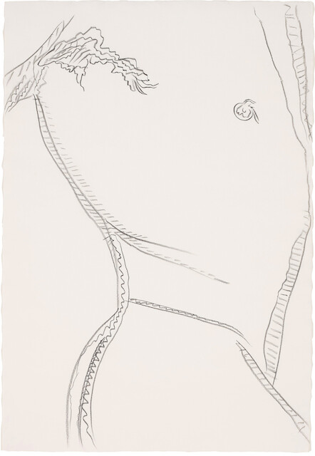 Andy Warhol, Torso, 1977