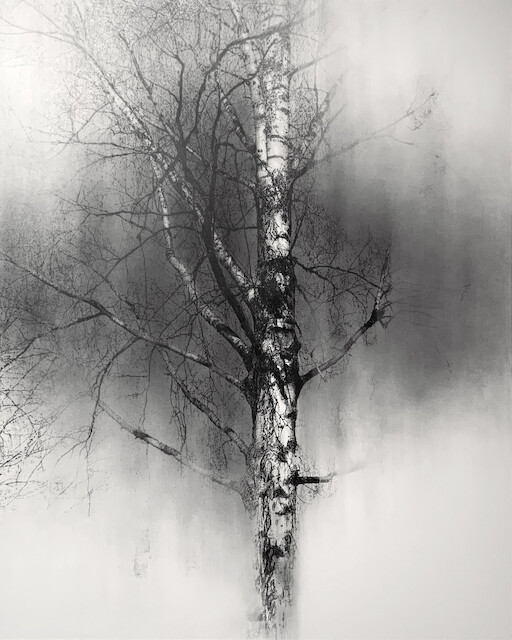 Yuichiro Sato, Forest [Last snow], 2021