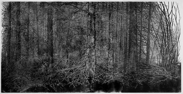 Agathe May, "La forêt", 2016