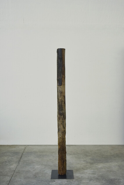 Renato D'Agostin, Sculpture Veni Etiam 3, 2022