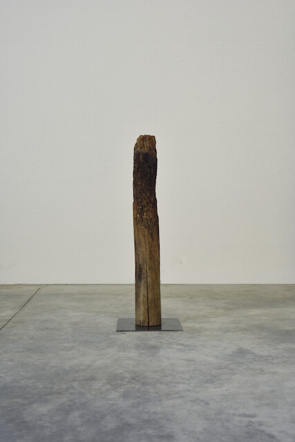 Renato D'Agostin, Sculpture Veni Etiam 3, 2022