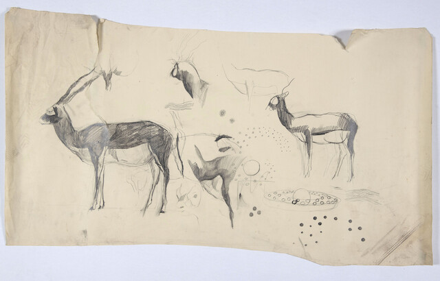 Samantha McEwen, Antelopes sketche, 1992