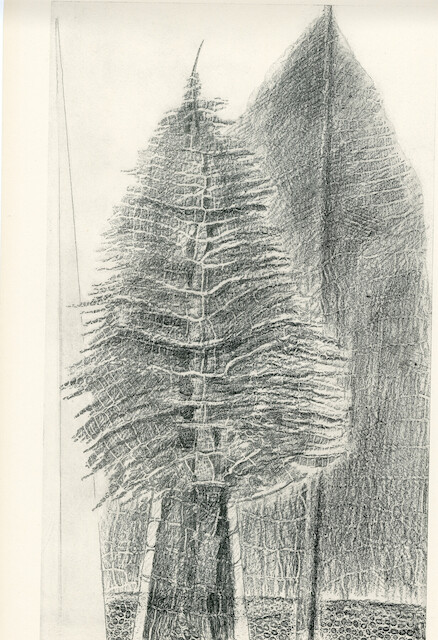 Max Ernst, Hstoire Naturelle - Le fascinant cyprès, 1926